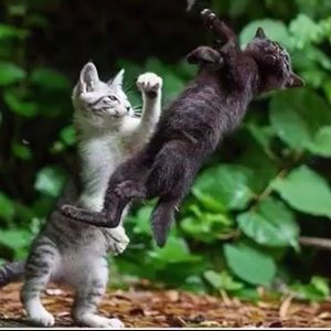 Meet your Posher, Melina